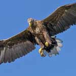 Avatar de l’utilisateur